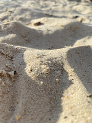 tracks on sand