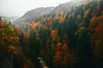 autumn in the mountains