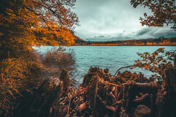 lake in autumn