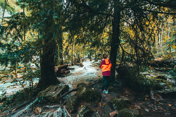 camping in the forest