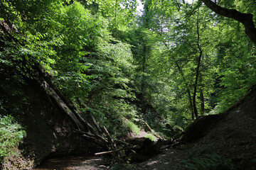 Landschaft Bayern - Pähler Schlucht - Burgleitenbach / Landscape Bavaria - Pähler Gorge - Burgleitenbach /