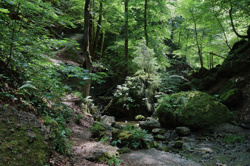 Landschaft Bayern - Pähler Schlucht - Burgleitenbach / Landscape Bavaria - Pähler Gorge - Burgleitenbach /