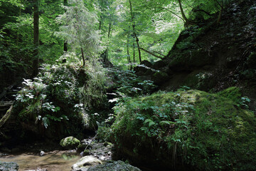 Landschaft Bayern - Pähler Schlucht - Burgleitenbach / Landscape Bavaria - Pähler Gorge - Burgleitenbach /