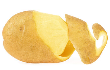 Fresh potatoes with peel isolated on a white background. Spiral peeled potato.