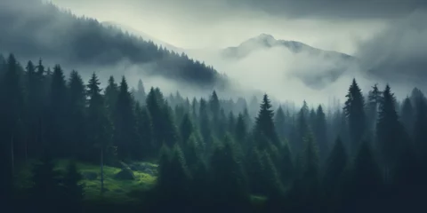Fototapete Morgen mit Nebel Foggy dark green pine tree forest, landscape background 