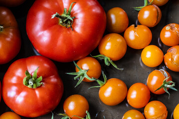 Ripe tomatoes in different sizes.