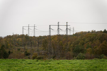 Massive power lines over a forest.