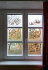 Fenster mit Sprossen in herbstlicher Stimmung von innen gesehen. Fensterscheiben parziell angelaufen.