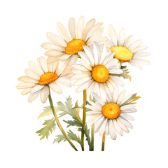 Obraz premium flower bouquet isolated on white background, ai generated 