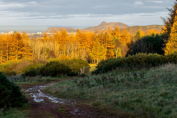 Rolling hills of the Scottish Highlands in colourful autumn with trails and views of fall foliage, colourful leaves. 