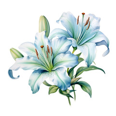 Fototapeta na wymiar flower bouquet , isolated on white background, ai generated