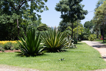 Botanic Garden of the city of Jundiai in Sao Paulo, Brazil. Aerial view.