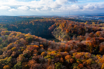 Beautiful autumn forest landscape from a drone in Poland. - obrazy, fototapety, plakaty