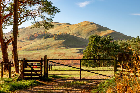 Wooden gate before start of a dirt track and trail leading towards autumnal Scottish Highlands in soft sunshine, warm light
