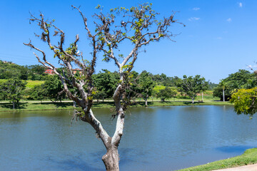 Engordadouro Park in the city of Jundiai, Sao Paulo, Brazil