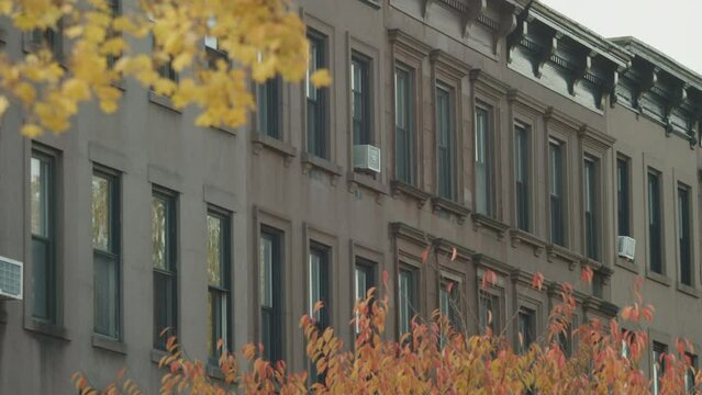 Fall foliage fills corners of shot of charming block of Brooklyn brownstones 
