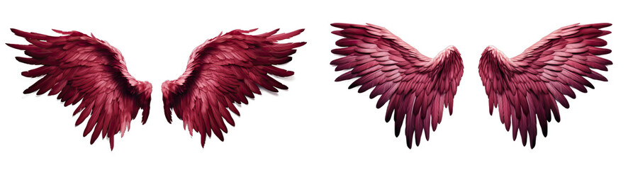 Fototapeta premium Maroon and black angel wings isolated on transparent background.Maroon and black wings. 