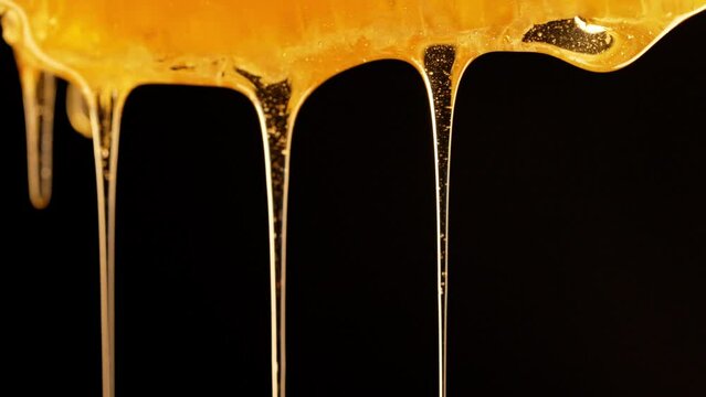 Honey dripping from honeycombs extreme macro.Natural bees wax cells, gold elixir