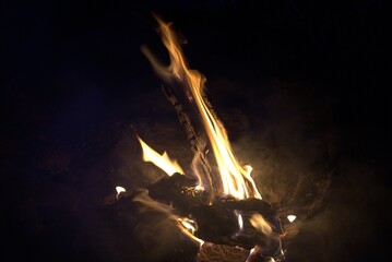 Log in flames