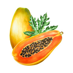 Watercolor sweet ripe composition with slice, half papaya and leafs. Hand drawn realistic tasty marker illustration of exotic tropical fruit isolated on background. For designers, decoratio