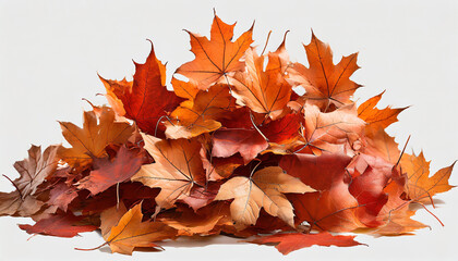 a pile of scattered autumn dry red orange maple leaves png file of isolated cutout object on transparent background