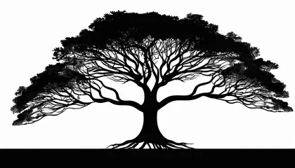 Gardinen black tree silhouette vector illustration with roots isolated on white background © Emanuel