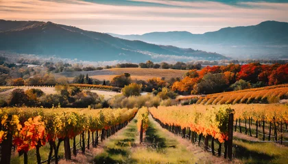 Foto op Canvas the winery s scenic surroundings with vineyards in full bloom during autumn illustrating the connection between nature and the art of winemaking © Emanuel