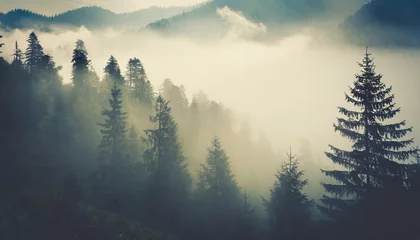Cercles muraux Forêt dans le brouillard misty landscape with fir forest in vintage retro style generative ai