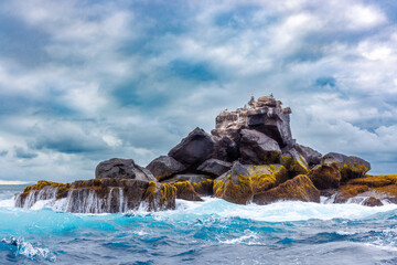 Stormy seas and birds, Galapagos