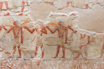 SAQQARA, EGYPT - MARCH 23, 2023:  Pictures from the inner walls  in the Saqqara necropolis, Egypt...