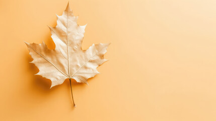 Sycamore Leaf Natural Colors , Background For Banner, HD