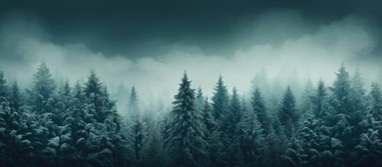 The winter background showcases the lush green pine trees in a closeup highlighting their evergreen beauty and the harmony they create with nature and the environment - obrazy, fototapety, plakaty