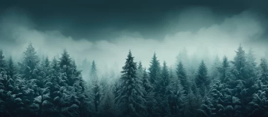 Fotobehang The winter background showcases the lush green pine trees in a closeup highlighting their evergreen beauty and the harmony they create with nature and the environment © TheWaterMeloonProjec