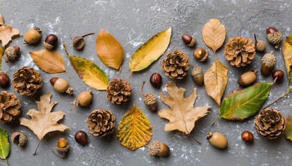 autumn composition made of dried leaves cones and acorns on table flat lay top view