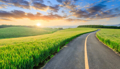 Fototapeta premium country road and green wheat fields natural scenery at sunrise