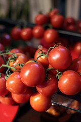 bunch of whole tomatoes with stems for party table decoration