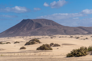 Fototapeta na wymiar Sandy desert dunes Corralejo in Fuerteventura, Canary islands, Spain, summer vacation panoramic high view drone