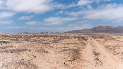 Fototapeta na wymiar View of la Graciosa island close to lanzarote, canary island spain, with only dirt roads and old volcano