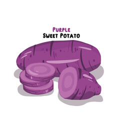 Vector set of sweet potatoes isolated on white background.