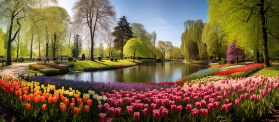 Fototapeten The Keukenhof known for its beautiful landscape and vibrant floral beauty is a stunning garden where colorful flowers of all kinds bloom during the enchanting spring and summer seasons surr © TheWaterMeloonProjec