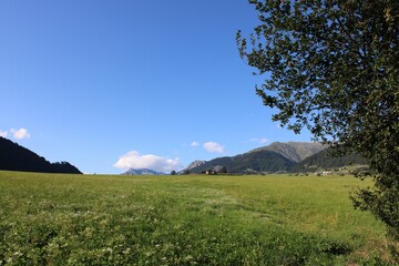Fototapeta premium Grassy field with a mountain in the background against the blue sky