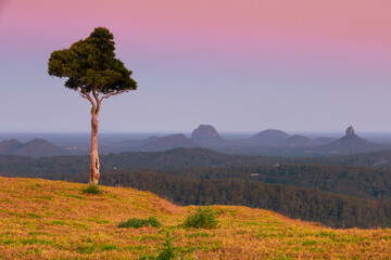 One Tree Hill in Queensland Australia