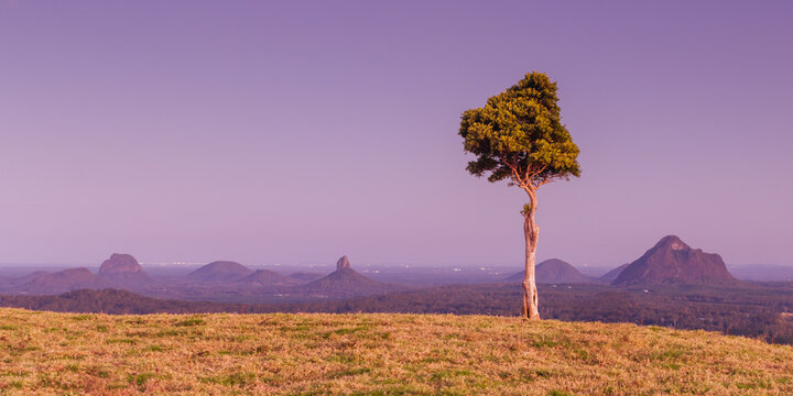 One Tree Hill in Queensland Australia