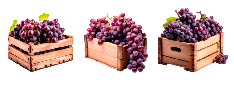 Three wooden box full of grapes over isolated transparent background. Vintage season concept