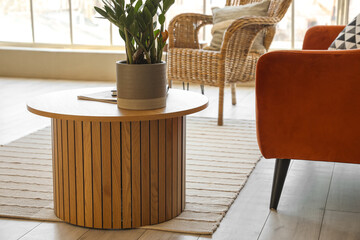 Coffee table with houseplant in modern living room
