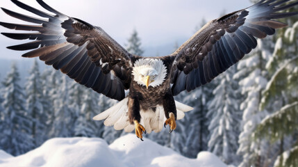 Fototapeta premium A Regal Eagle Is Swooping Down To Catch Its Prey, Background For Banner, HD