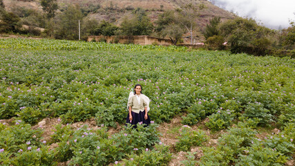 Foto de una feliz campesina caucásica parado en medio de sembrío de papas en Perú ,campesina con...
