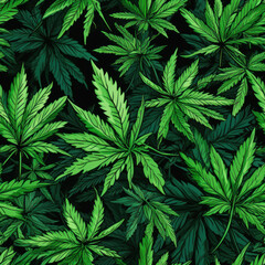 pattern with bright green leaves of cannabis hemp