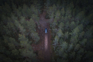 Black car with headlights on in a pine forest, photo from a drone. © Dmitri