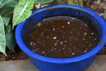 stagnant water breeding site for dengue chikungunya mosquitoes, malaria, zica virus epidemic disease pollution health